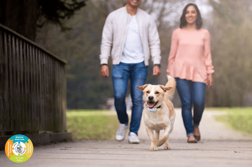 male and female couple going for a walk with a tan mixed breed dog running in front of them